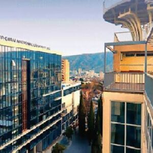 georgian_national_university_2